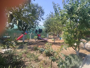 Casă de vânzare Giarmata Mare   teren 1.300 mp, poziție excelentă pe colț, cu două intrări auto