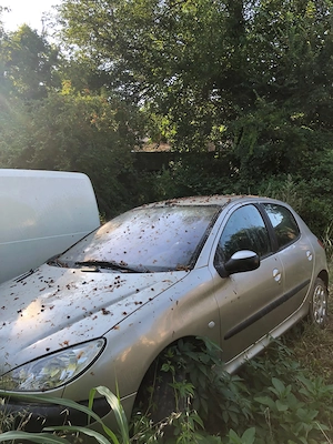 Vand Peugeot 206, an 2003 pret 700  negociabil - imagine 2