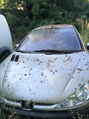 Vand Peugeot 206, an 2003 pret 700  negociabil