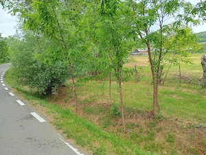 Teren intravilan 756 mp in localitatea Borozel, jud Bihor,, cu schița cadastrala și utilități - imagine 3