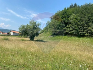 Teren Extravilan 3866 mp in Vama Buzaului la Strada Principala - imagine 5