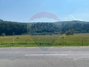Teren Extravilan 3866 mp in Vama Buzaului la Strada Principala - imagine 2