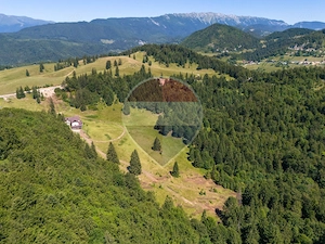 Teren premium– 52.519 mp Dâmbovicioara, Argeș DN73 viitor intravilan - imagine 3