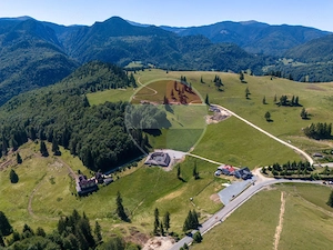 Teren premium– 52.519 mp Dâmbovicioara, Argeș DN73 viitor intravilan - imagine 7