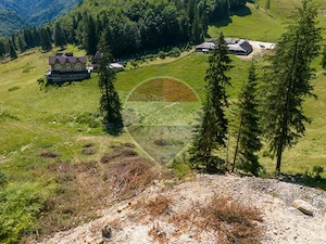 Teren premium– 52.519 mp Dâmbovicioara, Argeș DN73 viitor intravilan - imagine 19