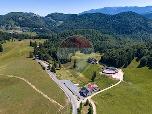 Teren premium– 52.519 mp Dâmbovicioara, Argeș DN73 viitor intravilan - imagine 13