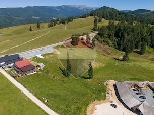 Teren premium– 52.519 mp Dâmbovicioara, Argeș DN73 viitor intravilan - imagine 10