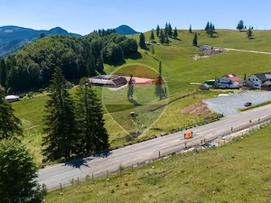 Teren premium– 52.519 mp Dâmbovicioara, Argeș DN73 viitor intravilan - imagine 9