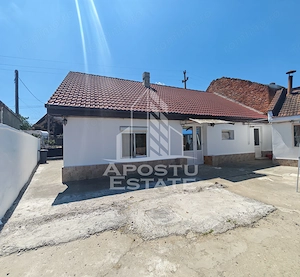 Casa individuala, 3 camere, renovata, de vanzare, Sag, Timis