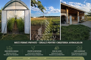 Vila cu piscina si mica ferma personala | 310 mp I Pădurea Verde - imagine 8