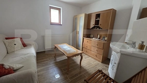 Casă și livadă de vânzare, 150 mp, zona Grebenișu de Câmpie - imagine 11