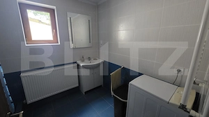 Casă și livadă de vânzare, 150 mp, zona Grebenișu de Câmpie - imagine 19