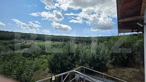 Casă și livadă de vânzare, 150 mp, zona Grebenișu de Câmpie - imagine 20