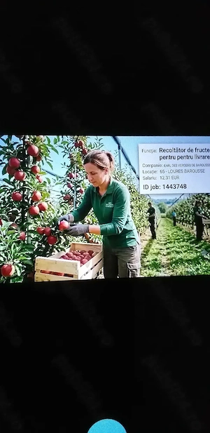 Se  caută urgent cupluri in Austria 