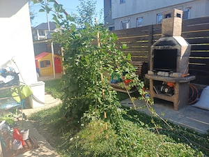 Casa individuala, plan partier,3 camere, in spate la Lidl Bucium, din 2018, accept si schimb  - imagine 7