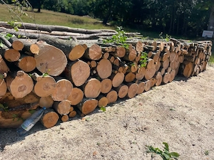lemne de foc