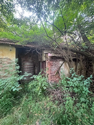 Teren de Vanzare , comuna Bunesti - imagine 2