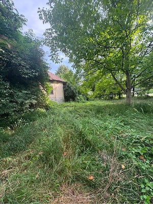 Teren de Vanzare , comuna Bunesti - imagine 3