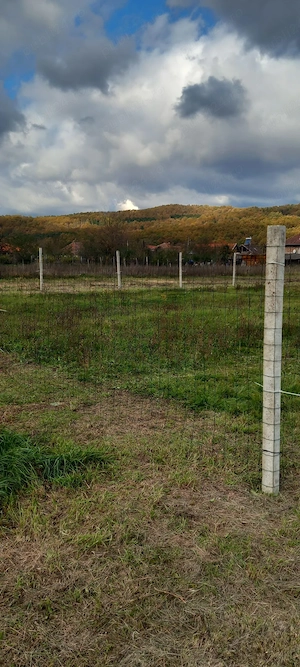 Teren intravilan pentru constructie casa în Balata