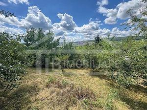 Casa cu 3 camere, 2300mp teren, zona SubPadure - imagine 14