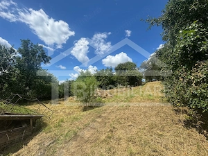 Casa cu 3 camere, 2300mp teren, zona SubPadure - imagine 18