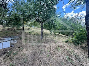 Casa cu 3 camere, 2300mp teren, zona SubPadure - imagine 16