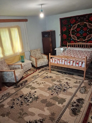 Casa si teren în Malini, judetul Suceava, teren 5000mp , proprietar - imagine 3