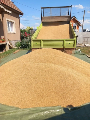 De vănzare