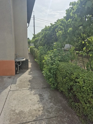 casa P+E cu 2 intrari, 240 mp, 7 cam, in Becicherecu Mic, la 15 km de Timisoara - imagine 4