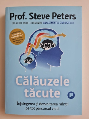 Călăuzele tăcute - Steve Peters