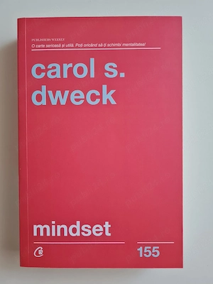 Mindset - Carol S. Dweck