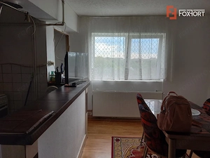 Apartament cu 2 camere de vanzare in Remetea Mare - imagine 4