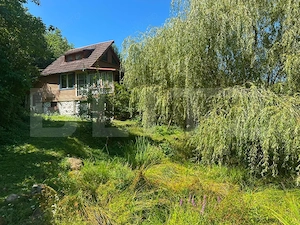 Oază de liniște , cabană cu pescărie și natură