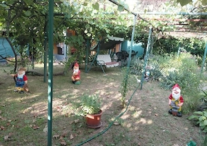 Casa de vanzare, satul Lupoaia, comuna Catunele, judetul Gorj, la 1km de orasul Motru - imagine 6