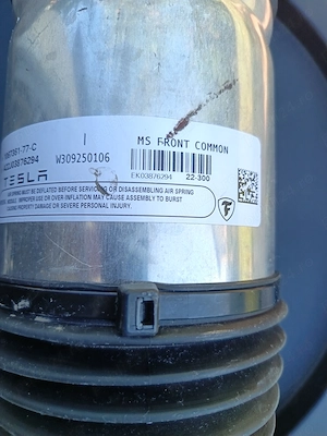 Perne aer Bilstein pentru Tesla MS și MX - imagine 3