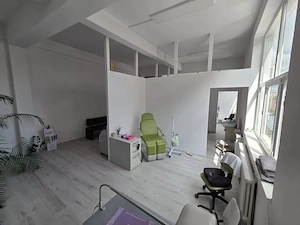 Mureseni - Inchiriere spatiu comercial/birouri - Strada Gheorghe Doja - imagine 5