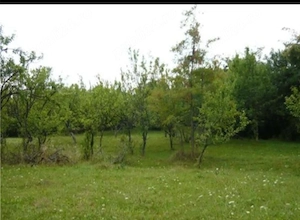 Vând Teren Intravilan Premium 3.550 mp   Platou Teișani - Slănic Prahova, deschidere 40m la DJ 100N - imagine 6