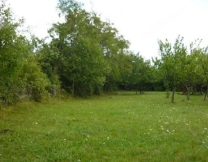 Vând Teren Intravilan Premium 3.550 mp   Platou Teișani - Slănic Prahova, deschidere 40m la DJ 100N - imagine 4
