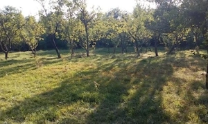 Vând Teren Intravilan Premium 3.550 mp   Platou Teișani - Slănic Prahova, deschidere 40m la DJ 100N - imagine 5