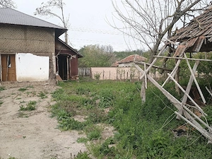  Teren 1.600 mp + casă   Păuleasca, Teleorman | 40.000 RON - imagine 5