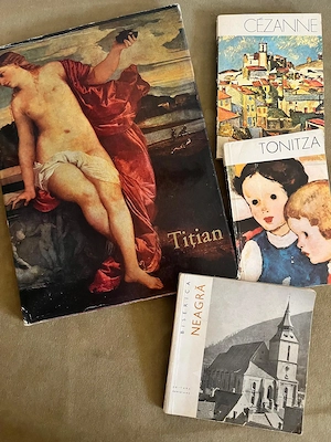 Vand carti, albume pictura