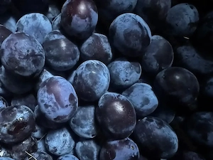 Vând prune 