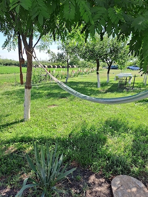 Teren agricol