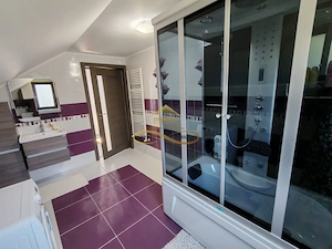 Casa complet mobilata, 3 dormitoare, garaj și livada – Racaciuni - imagine 9