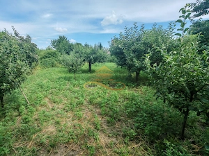 Casa complet mobilata, 3 dormitoare, garaj și livada – Racaciuni - imagine 15