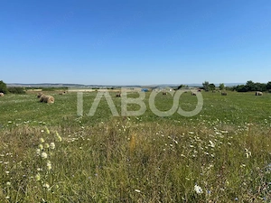 Teren intravilan cu utilitati in apropiere Comision 0% Poplaca Sibiu - imagine 3