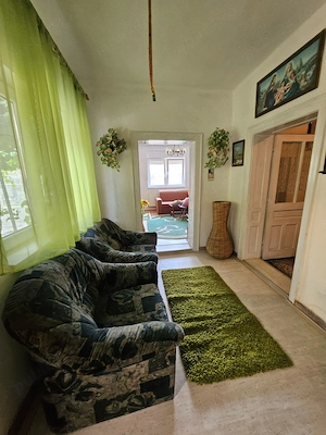 Casa cu teren la strada principala in Bocsig, jud Arad, deschidere pe 2 strazi, 8 km de orasul Ineu - imagine 6