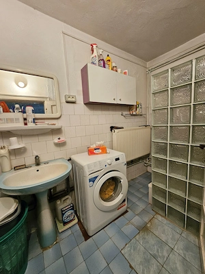 Casa cu teren la strada principala in Bocsig, jud Arad, deschidere pe 2 strazi, 8 km de orasul Ineu - imagine 11