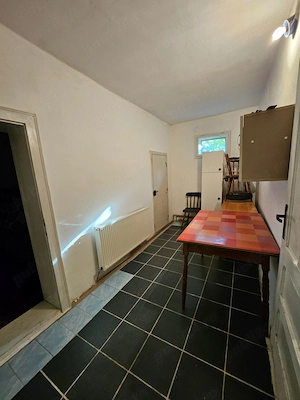Casa cu teren la strada principala in Bocsig, jud Arad, deschidere pe 2 strazi, 8 km de orasul Ineu - imagine 8