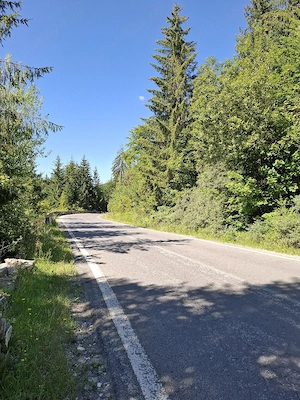 Teren zonă pitorească Sinaia - imagine 4